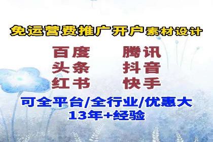 百度竞价排名服务：成功案例解析与优化策略
